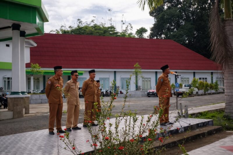 IMG-20260112-WA0008-800x533-1